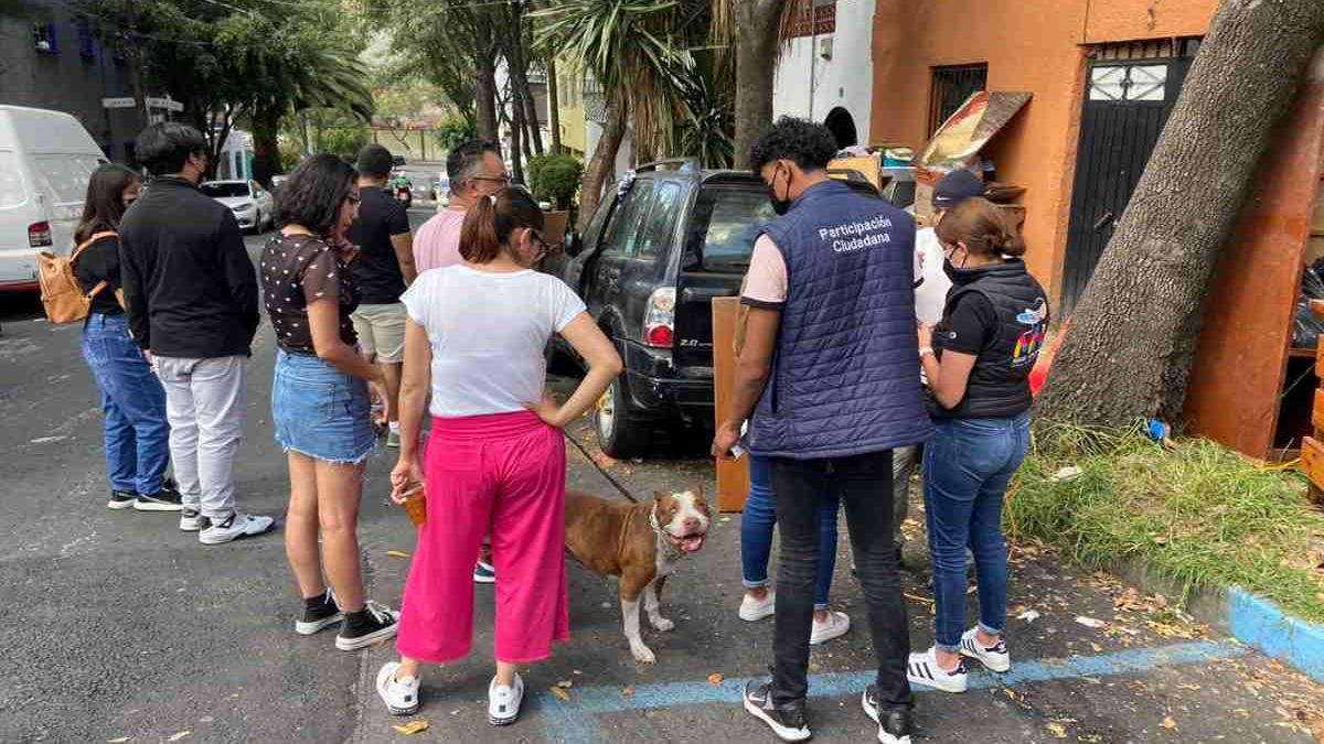 Alcaldía Miguel Hidalgo da casa temporal a 14 perritos que estaban hacinados