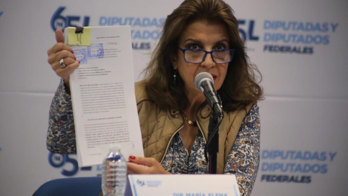 Diputada del PAN denuncia ante FGR irregularidades de Segalmex; “Fiscalía está dormida”, dice