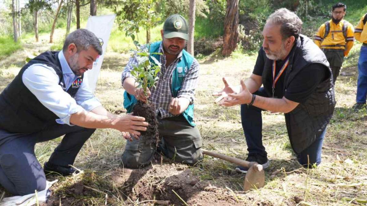 Alcaldía Miguel Hidalgo reforesta Área Natural Protegida de Bosques de las Lomas