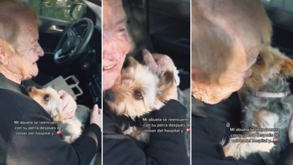 Abuelita se reencuentra con su perrita tras varios días hospitalizada: "Amor canino, el más fiel" (VIDEO)