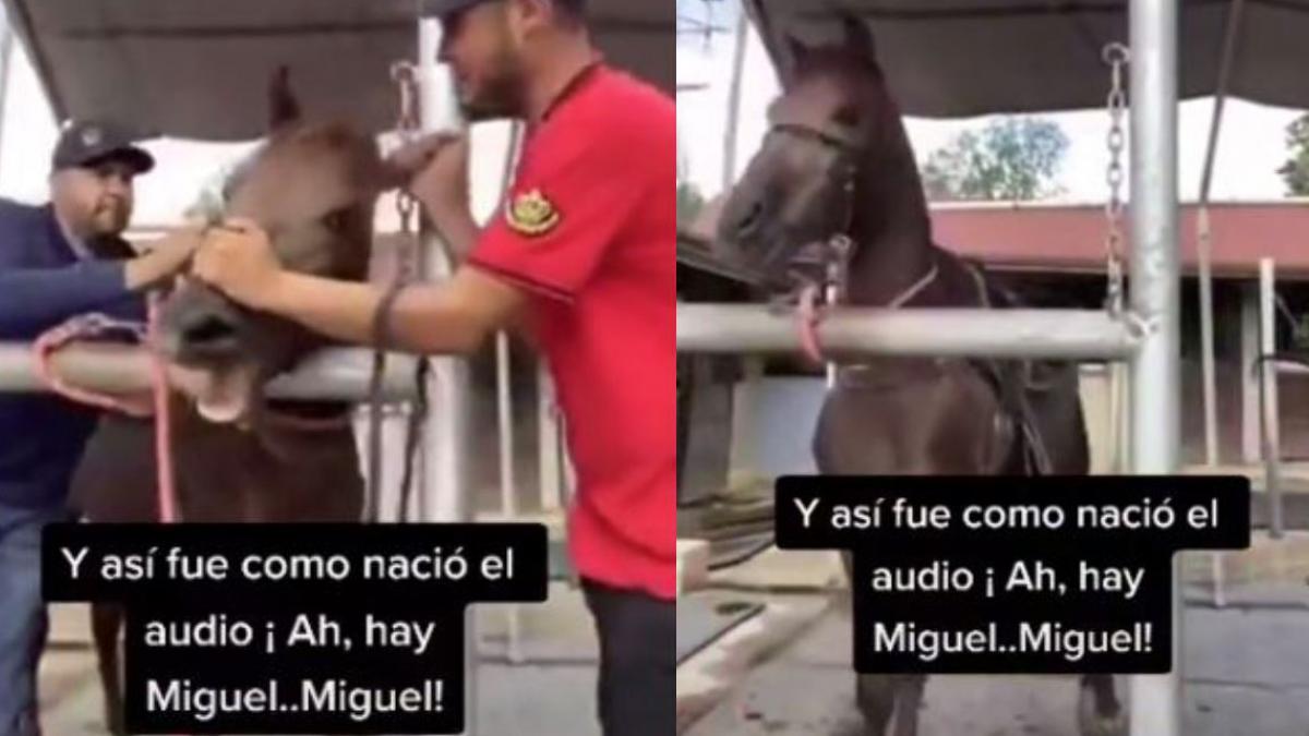 Este es el VIDEO original del audio viral de TikTok "Ay Miguel"