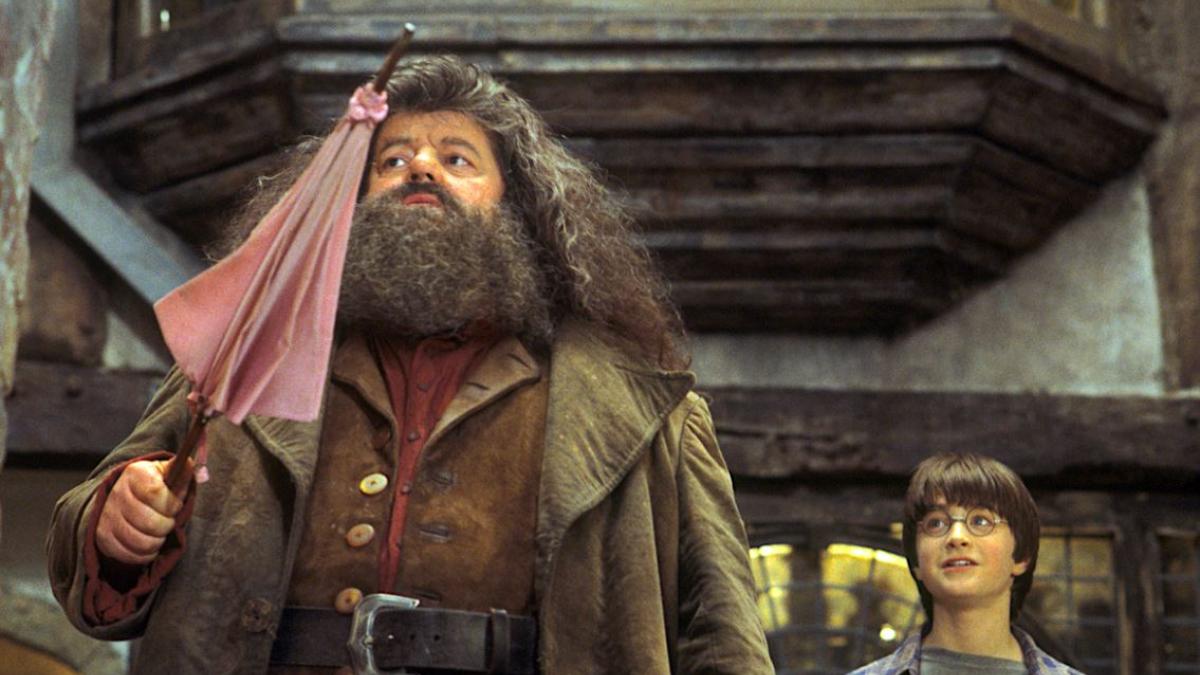 ¿Por qué Hagrid tenía prohibido hacer magia en el mundo de Harry Potter?