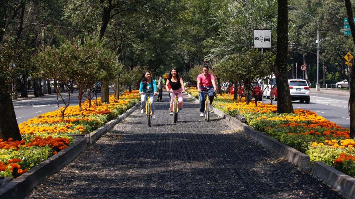 Embellecen más de 200 mil flores de cempasúchil vialidades de la CDMX