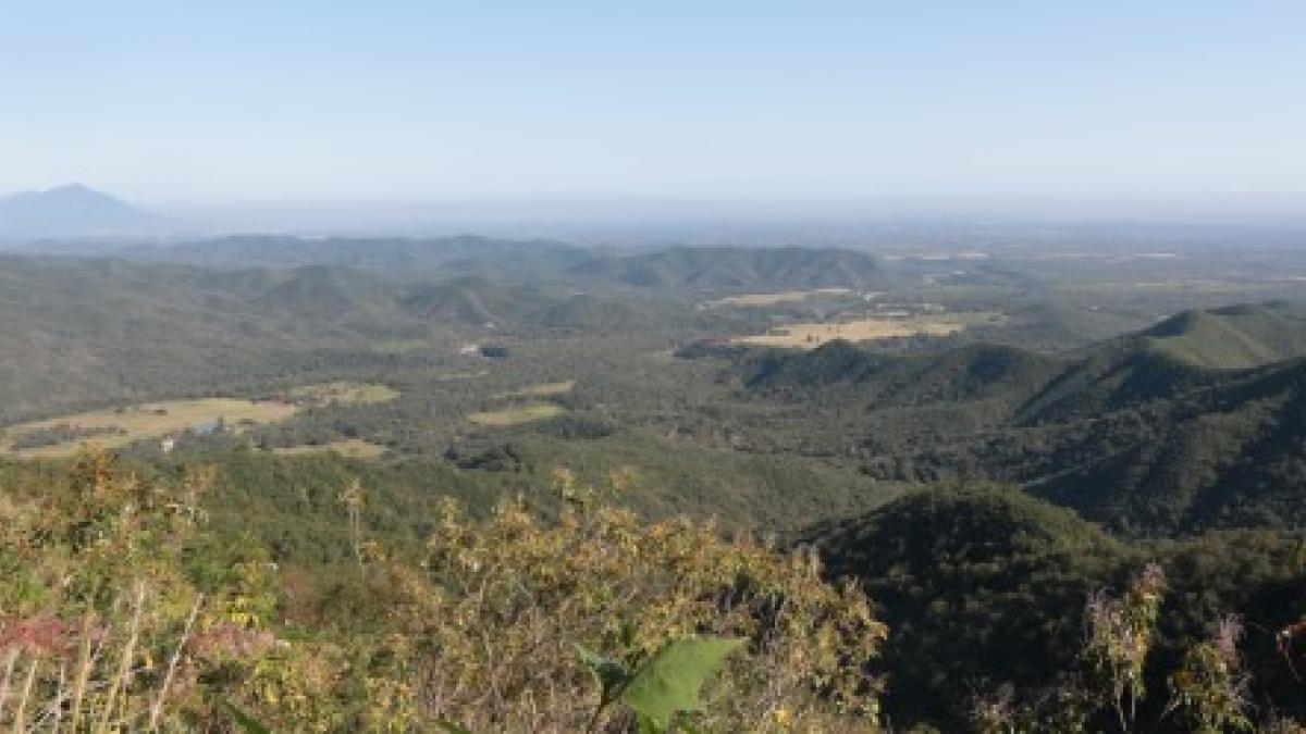 Muerte de senderista, por golpes tras caída en cañón: FGJ