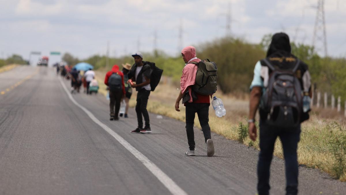 INM rescata a 223 migrantes en Puebla