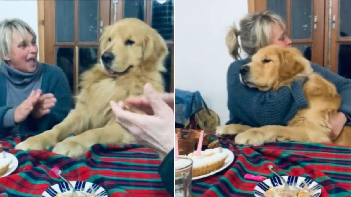 Perrito se emociona cuando celebran su cumpleaños y se hace viral (VIDEO)