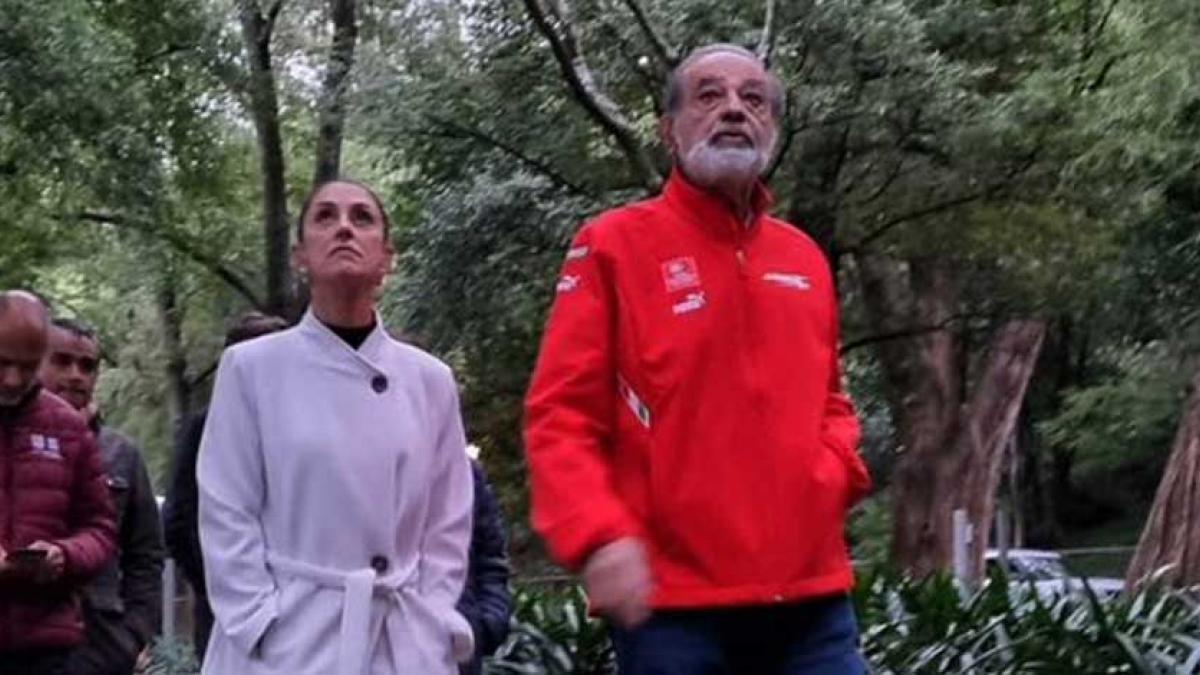 Sheinbaum: Paseo con Slim por Chapultepec fue para visitar ahuehuetes