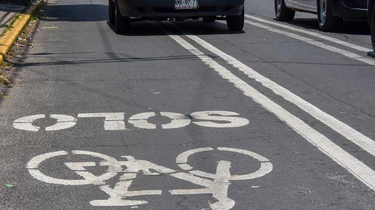 Mujer ciclista pierde la vida en incidente con un autobús RTP; remiten al conductor al MP