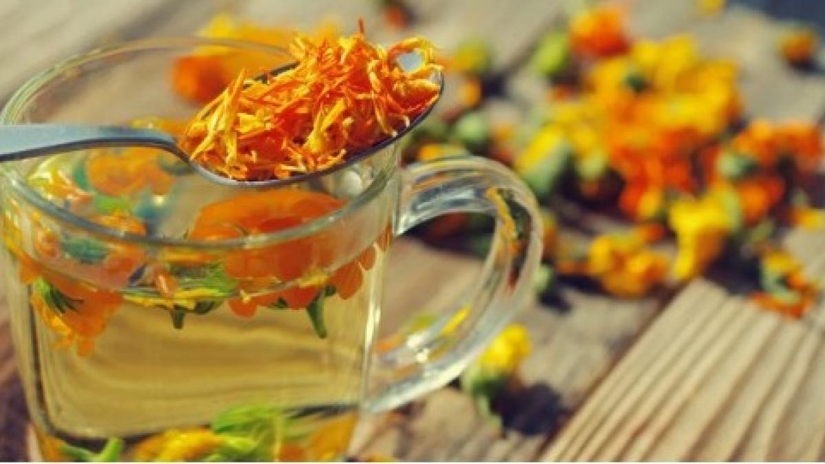 Día de Muertos: Aprovecha la temporada de cempasúchil y hazte un té con esta flor