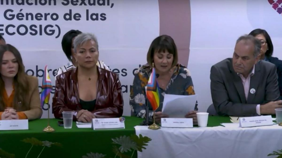 No votar por prohibir las terapias de conversión sería un acto de enorme hipocresía: Mónica Garza