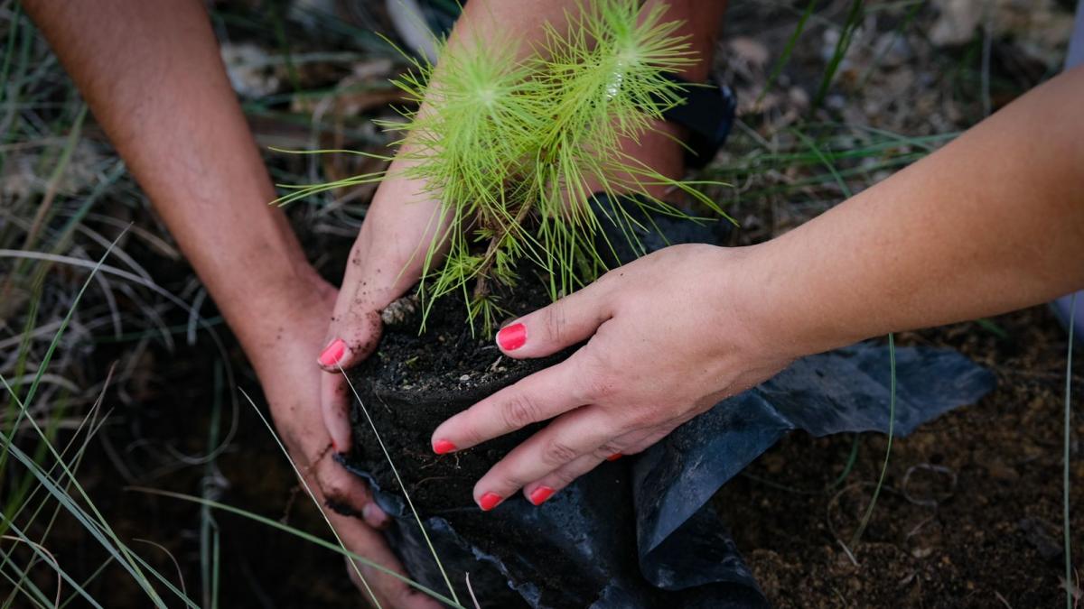 ¡Cuida el medio ambiente!: 12 propósitos para lograr una vida sustentable en 2023