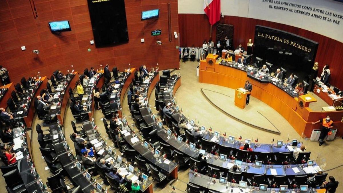 Senado también espera salida de 21 legisladores