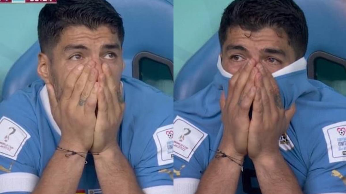 Copa del Mundo Qatar 2022 | VIDEO: Llanto inconsolable de Luis Suárez y uruguayos querían "golpear" al árbitro; el adiós de los charrúas