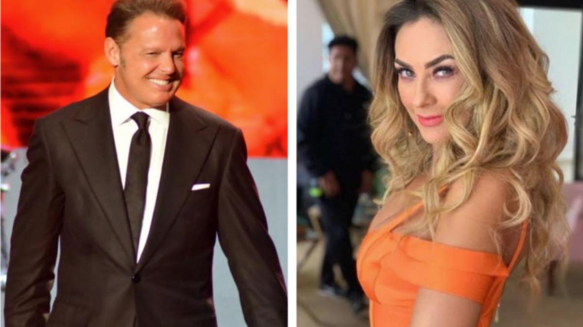 Revelan que Luis Miguel ya pagó pensión alimenticia a Aracely Arámbula ¿Cuánto dinero le dio?