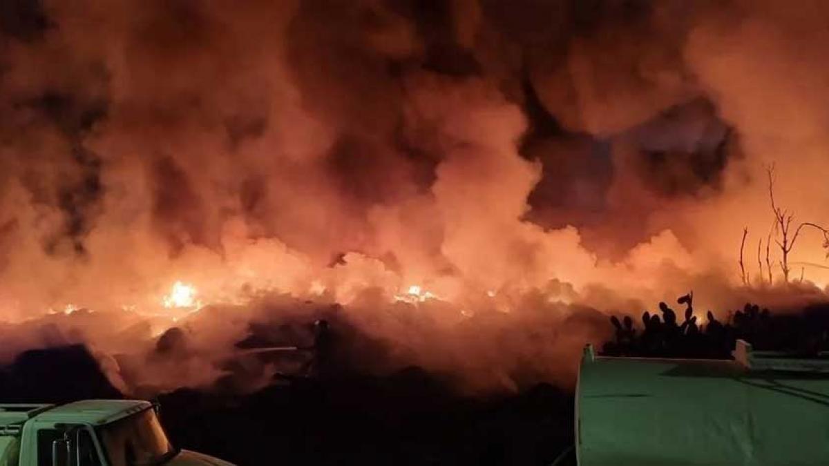 Arden pastizales por feroz incendio en San Martín de las Pirámides, Edomex