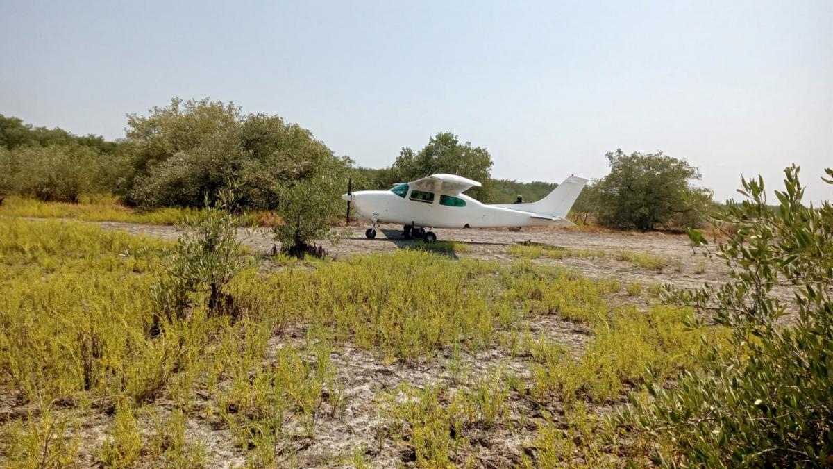 Senado advierte por presencia de aeronaves del crimen organizado