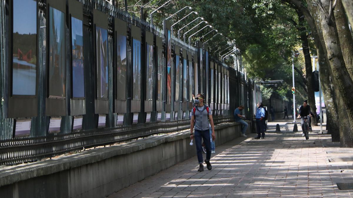 Agua de BJ no es utilizada para regar vegetación en el Bosque de Chapultepec: Sedema