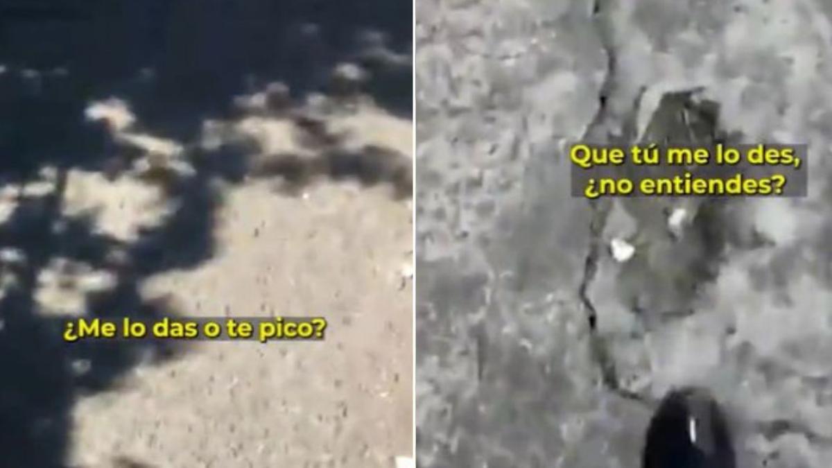 "Dame el celular o te pico": Captan a niño asaltando en Toluca; actuaba bajo amenaza (VIDEO)