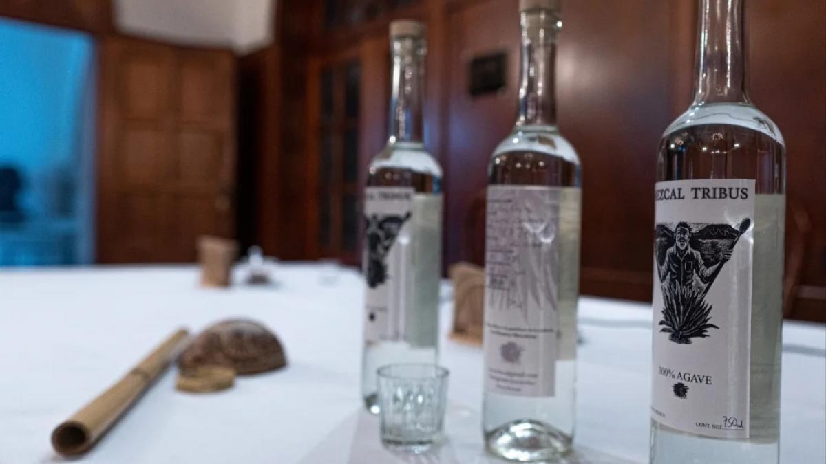 Mezcal Fest 2023 en CDMX: te contamos los detalles del festival