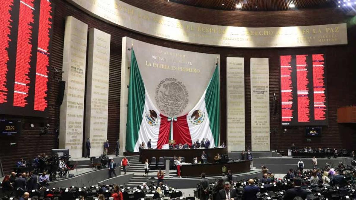 AMLO va contra tala clandestina y uso de sustancias para producción de drogas; envía iniciativas a Diputados