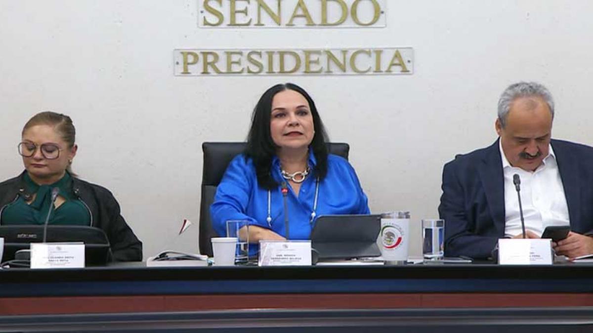 Avanza el Plan B en el Senado... sin vida eterna a chiquillada