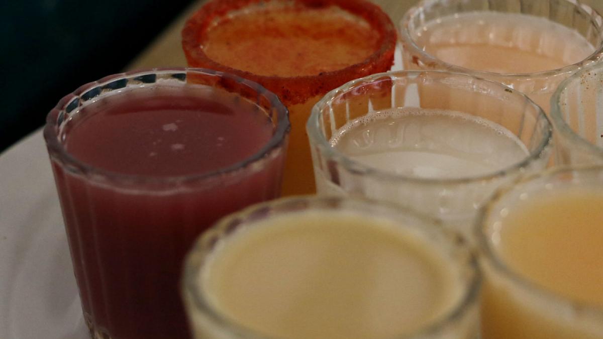 Fiesta del Pulque 2023 en CDMX: ¡Anímate a probar sus diferentes sabores!