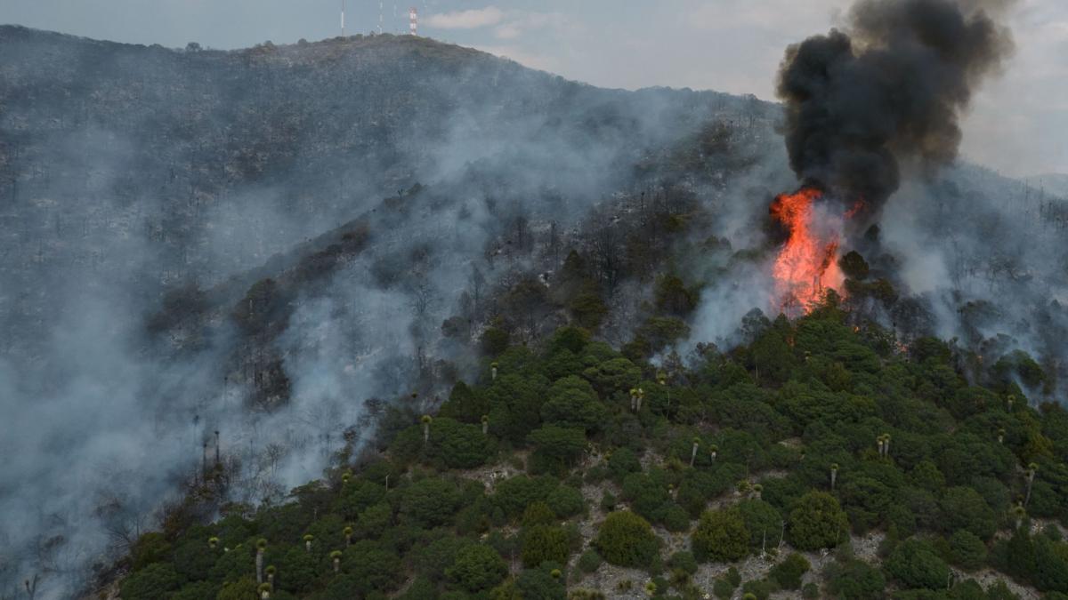 Registra Conafor 12 incendios forestales activos en México; 543 mil hectáreas afectadas