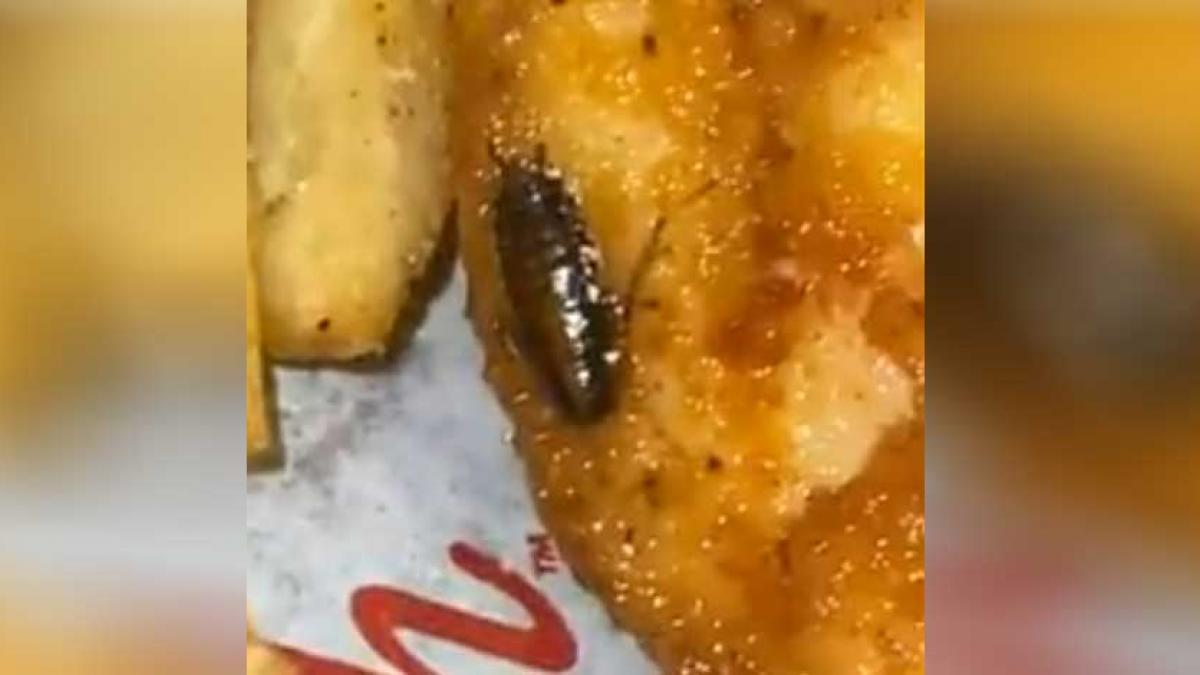 Mujer encuentra cucaracha en pollo de restaurante; antes de verla, ya había dado unos bocados (VIDEO)