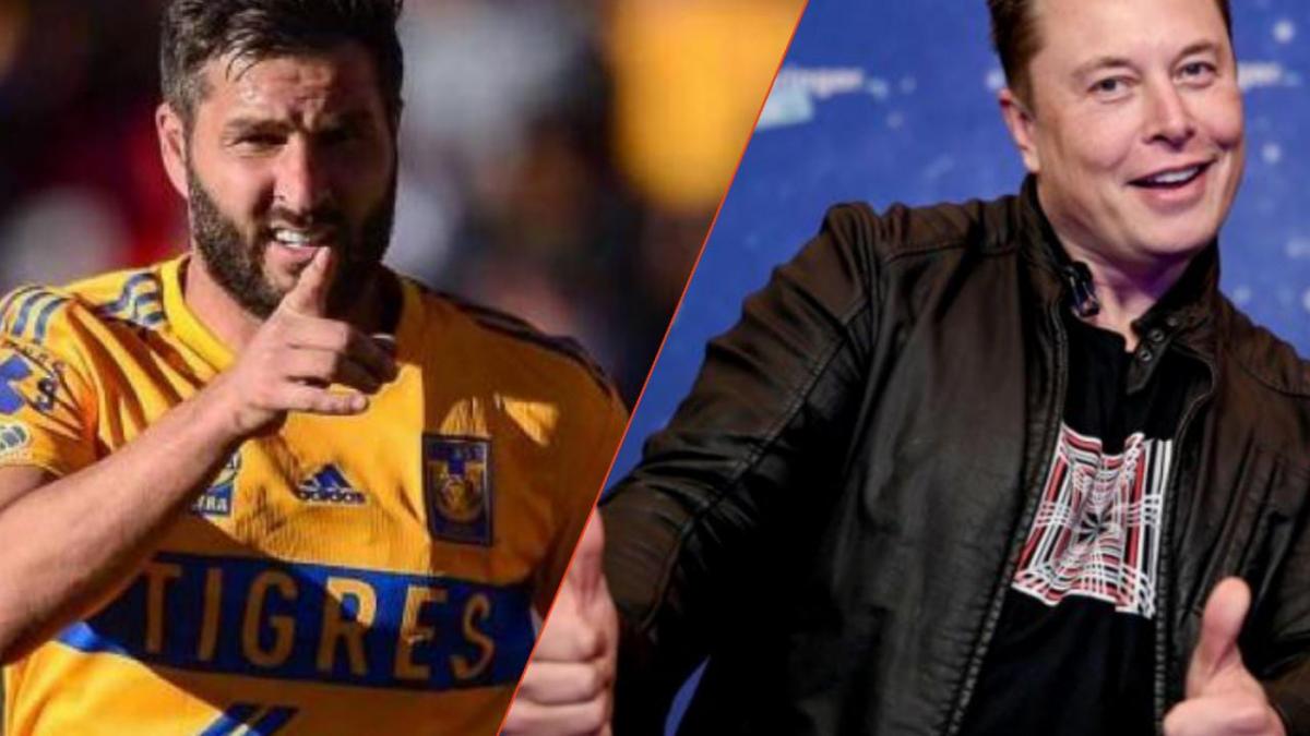 Proponen nombrar a bebé "Elon Gignac" para celebrar la llegada de Tesla a México