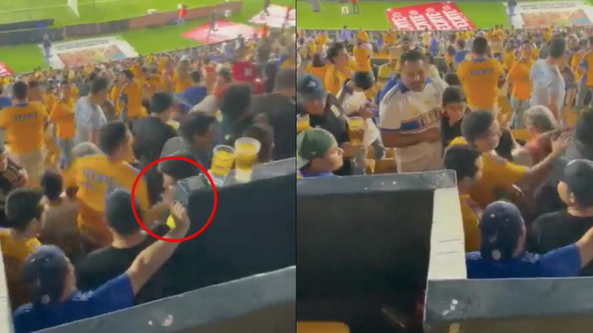 VIDEO: Piden identificar y vetar a fan de Tigres por golpear sin piedad a otro seguidor dentro del estadio