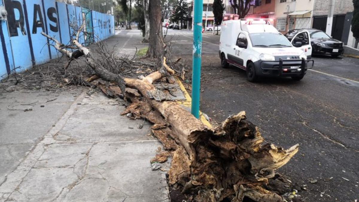 Activan alerta amarilla por fuertes vientos en toda la CDMX; también se prevén lluvias