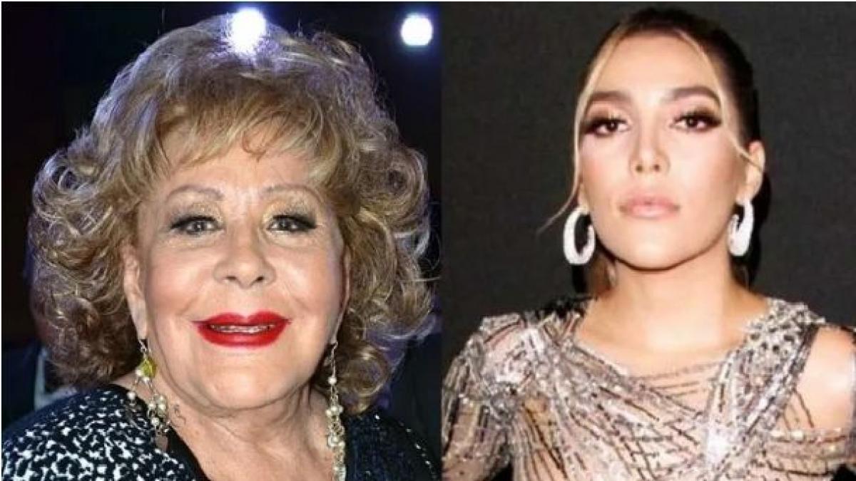 Frida Sofía explota contra su familia y afirma que todos le han robado a Silvia Pinal, hasta Michelle Salas