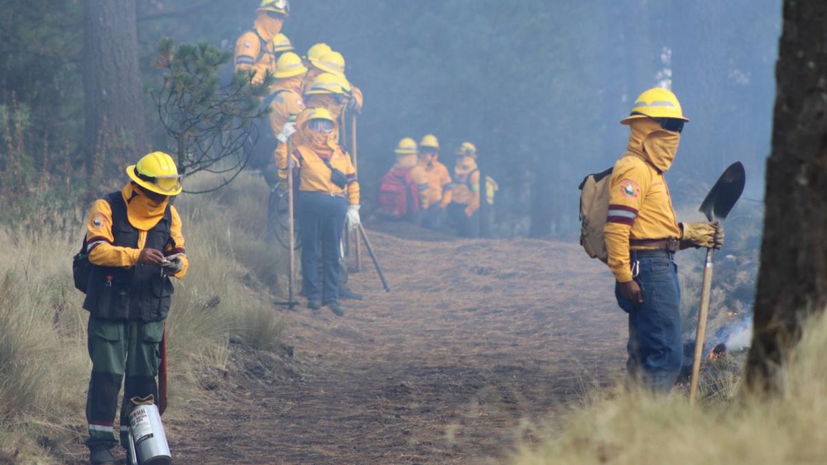 Incendios forestales: AMLO confirma cuatro muertos; hay 116 eventos en el país