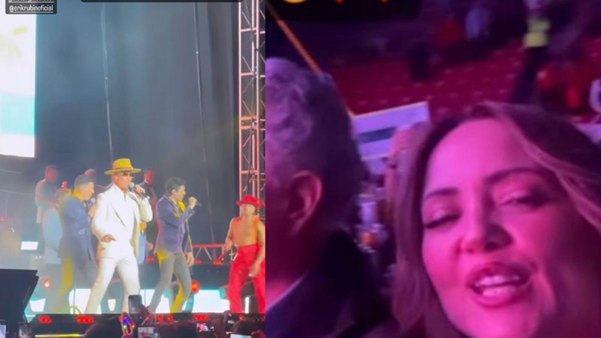 Andrea Legarreta no deja a Erik Rubín pese a su divorcio y lo va a ver a sus conciertos (VIDEO)