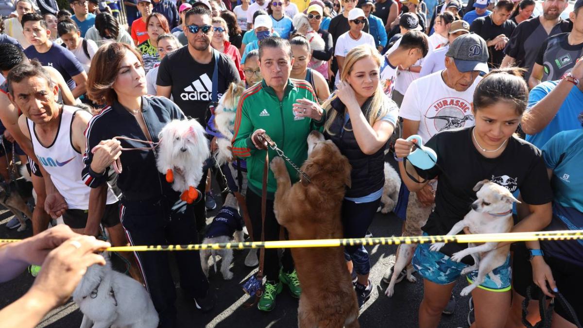 Participan cientos en Maratón Canino en Coyoacán