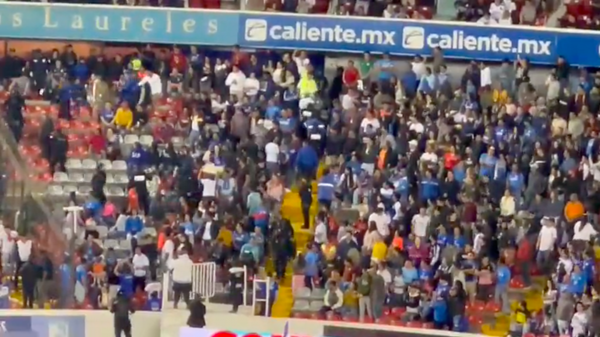 VIDEO: Querétaro vs Pumas, manchado por una terrible pelea en las gradas del Estadio Corregidora