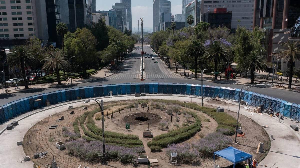 Ahuehuete de Reforma será plantado a principios de mayo, anuncia Secretaría de Medio Ambiente