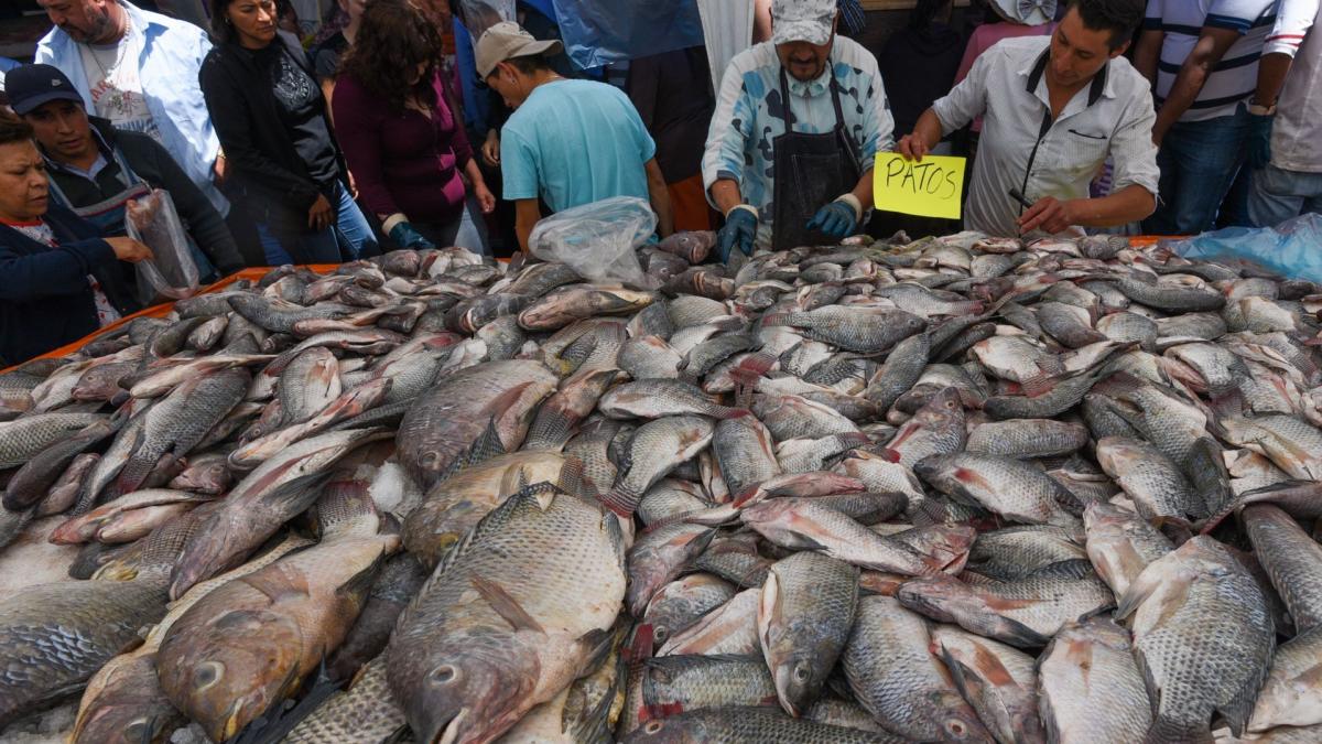 Capitalinos abarrotan mercado de la nueva Viga