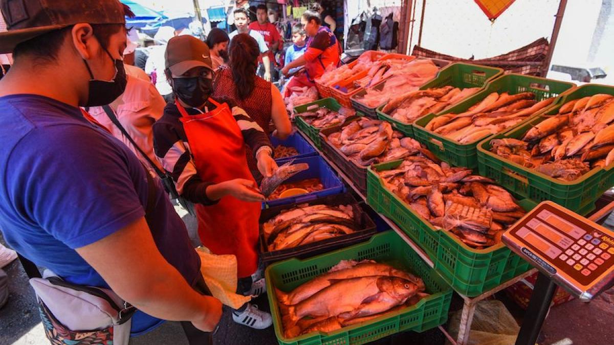 Consume 69% de población pescado en Viernes Santo