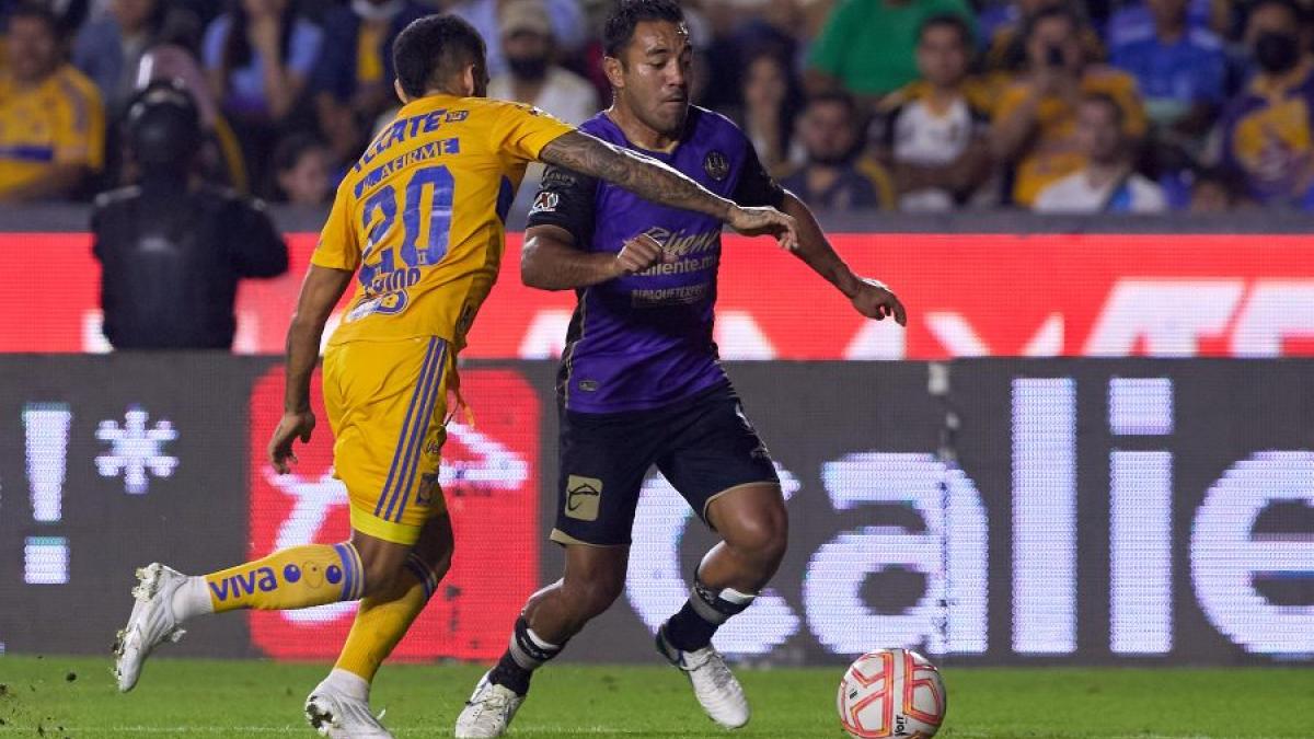 Tigres vs Mazatlán FC: Hora, cuándo y en qué canal pasan EN VIVO, Jornada 14 Clausura 2023