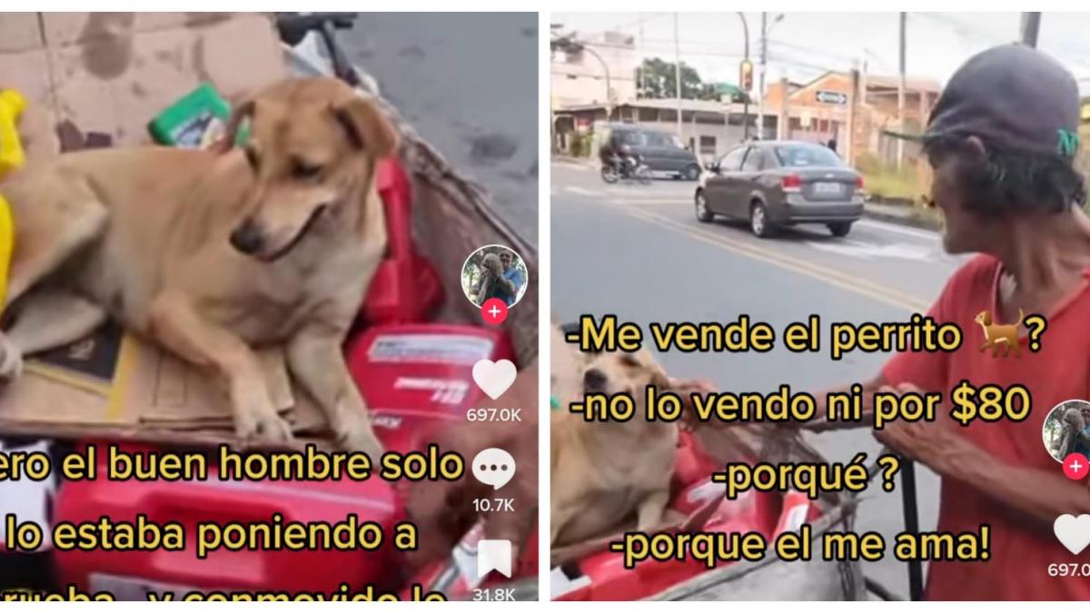 VIDEO. Recolector de basura rechaza vender a su perro; 'no lo cambiaría por nada'