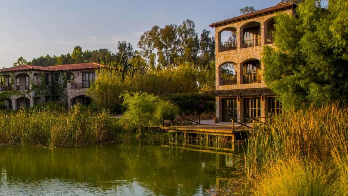 Viñedos en San Miguel de Allende, una experiencia enoturística de lujo