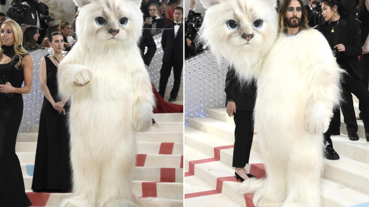 MET Gala 2023: Jared Leto llega disfrazado de gato y desata los MEMES (VIDEO)