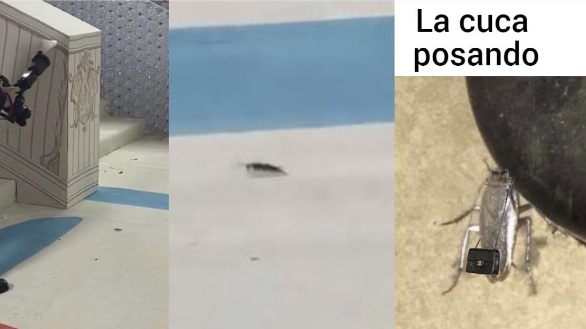 MET Gala 2023: Cucaracha 'desfila' en alfombra roja junto a famosos (VIDEOS y MEMES)