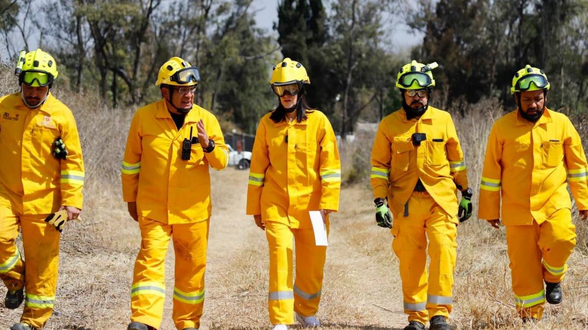 Se reducen 91.08 por ciento incendios forestales en Álvaro Obregón: Lía Limón