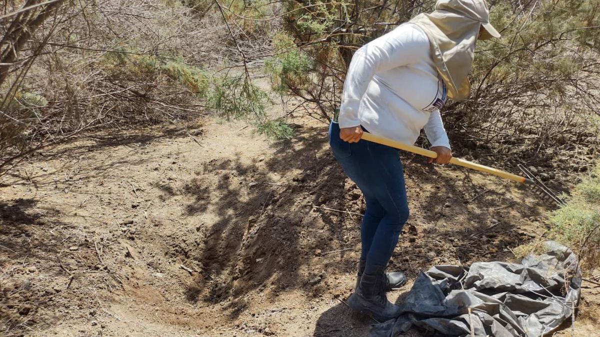 También faltan otros 111 mil, afirman colectivos de búsqueda