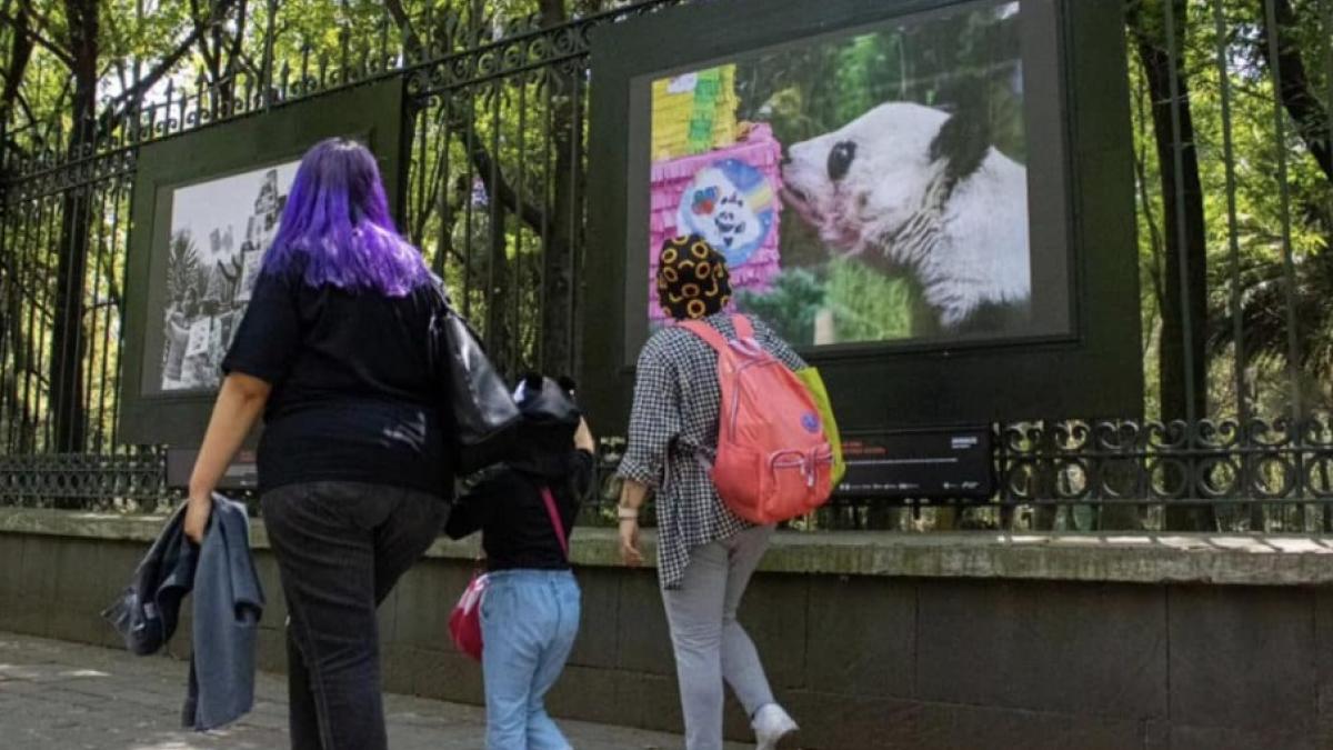 Día de las Madres. Así estará el clima en CDMX este 10 de mayo