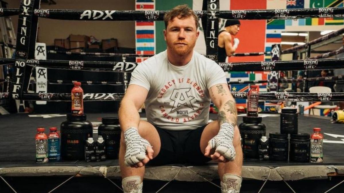 'Canelo' Álvarez: Conor McGregor arremete contra el tapatío y asegura que lo derrotaría fácilmente (VIDEO)