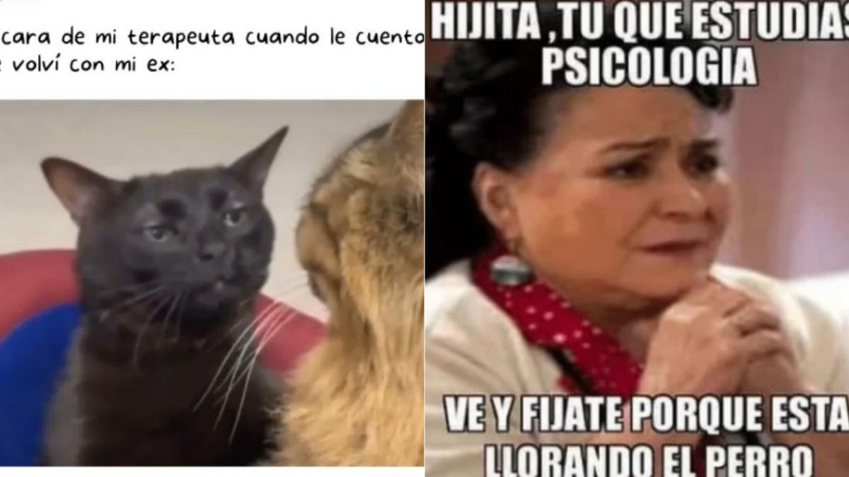 Día del Psicólogo. ¿Por qué se celebra el 20 de mayo?; estos son los mejores memes de esta fecha