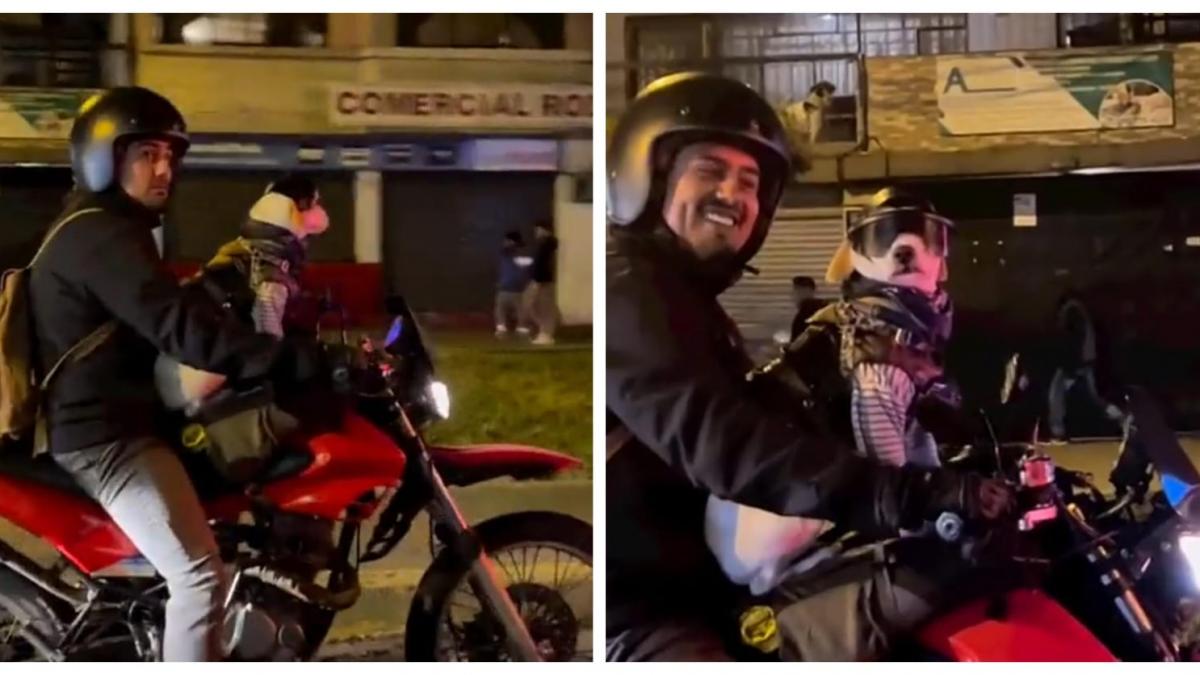 'Lomito' motociclista es captado recorriendo calles de la ciudad